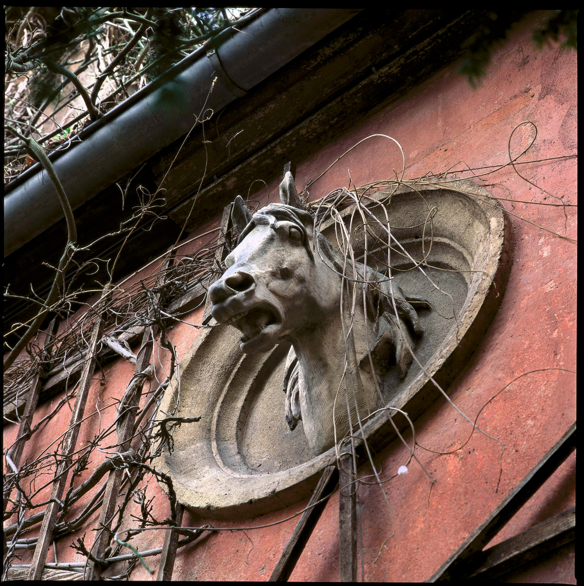 BUG6315 Detail of Bugatti’s Monobloc Cast Aluminum Wheel drawing, dated July 27, 1932 (Roue Bugatti brevetée en aluminium coulé).